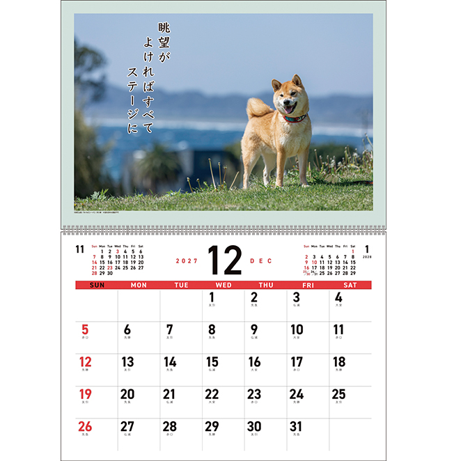 オフィスベンダー・杜の文具で販売中の柴犬の写真と川柳を毎月楽しめる「B4リングカレンダー／犬川柳」